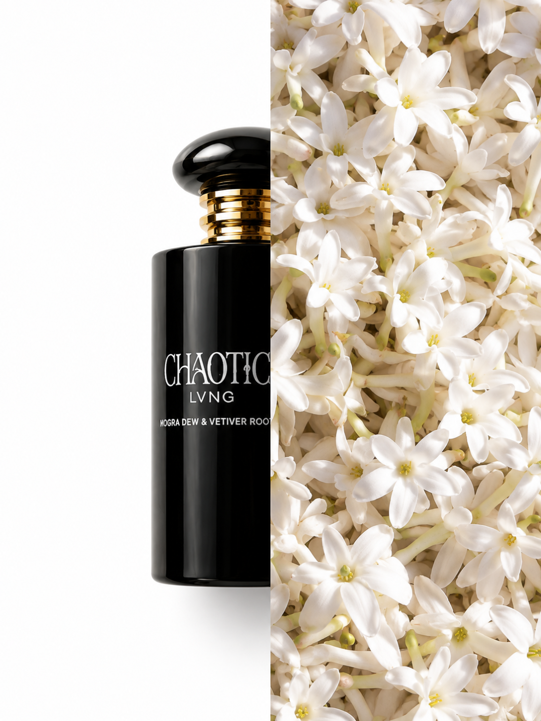 Mogra Dew & Vetiver Roots - The gajra he forgot to bring